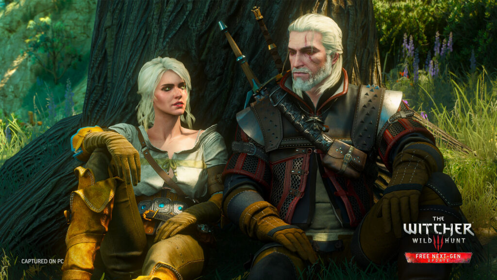 The Witcher 3 Wild Hunt